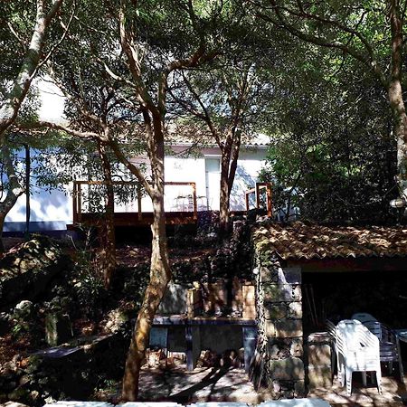 Quinta de São Caetano - São Miguel Açores Populo  Exterior foto
