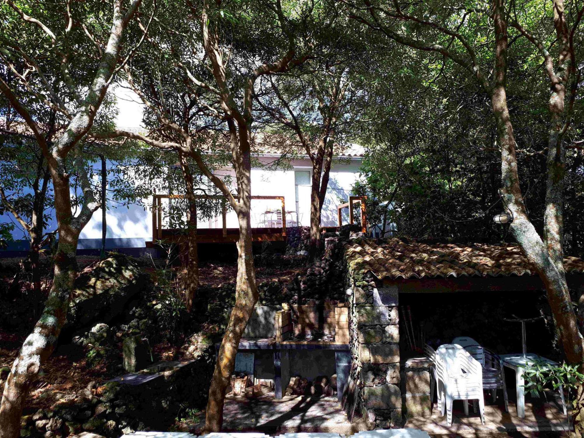 Quinta de São Caetano - São Miguel Açores Populo  Exterior foto