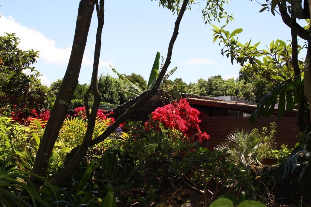 Quinta de São Caetano - São Miguel Açores Populo  Exterior foto